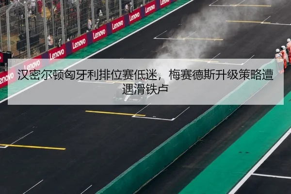 han-mi-er-dun-xiong-ya-li-pai-wei-sai-di-mi-mei-sai-de-si-sheng-ji-ce-lve-zao-yu-hua-tie-lu-3-213.jpg