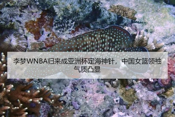 李梦WNBA归来成亚洲杯定海神针，中国女篮领袖气质凸显