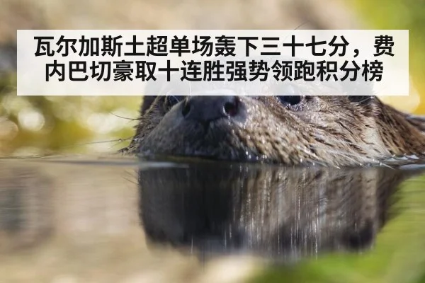 瓦尔加斯土超单场轰下三十七分,费内巴切豪取十连胜强势领跑积分榜
