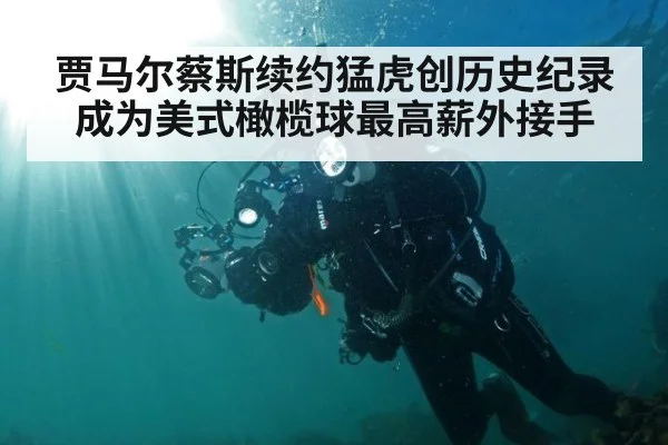 贾马尔蔡斯续约猛虎创历史纪录成为美式橄榄球最高薪外接手